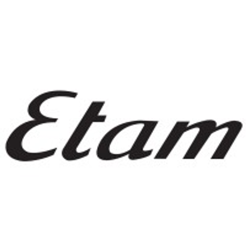 Логотип Etam